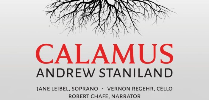 Calamus